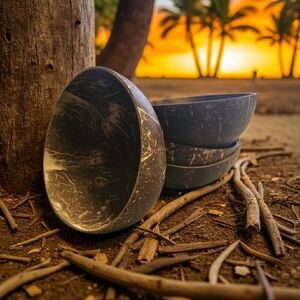 Rustic Coconut Shell Bowls - Set of 4